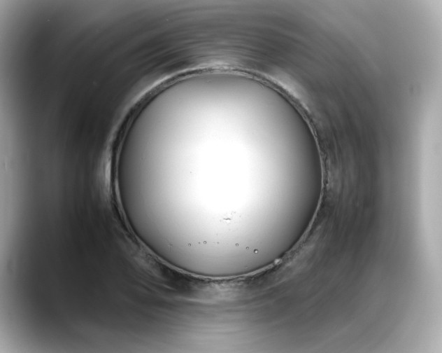 X0000088701078200705311211