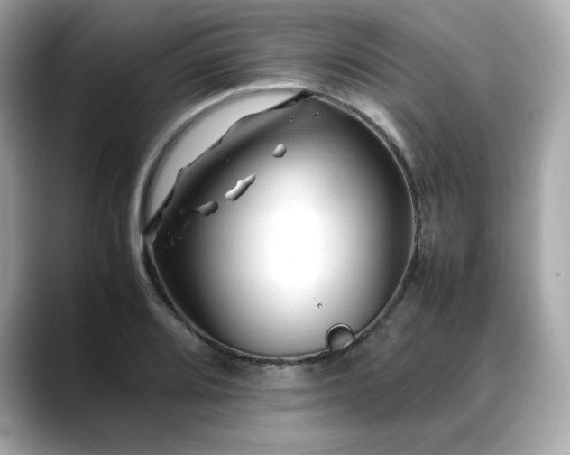 X0000088701080200705311211