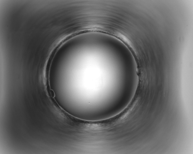 X0000088701082200705311210