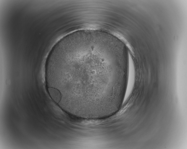 X0000088701083200705311210