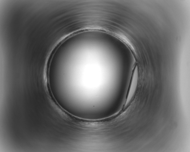 X0000088701084200705311210