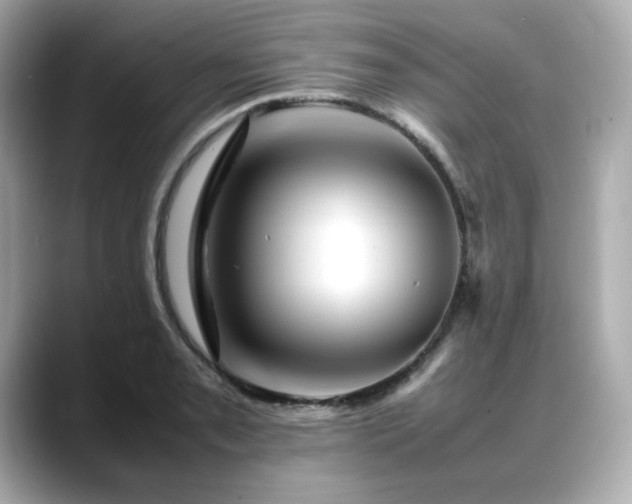 X0000088701085200705311210