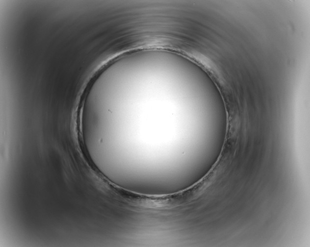 X0000088701086200705311210