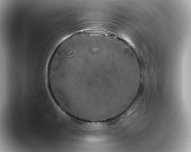 X0000088701087200705311210
