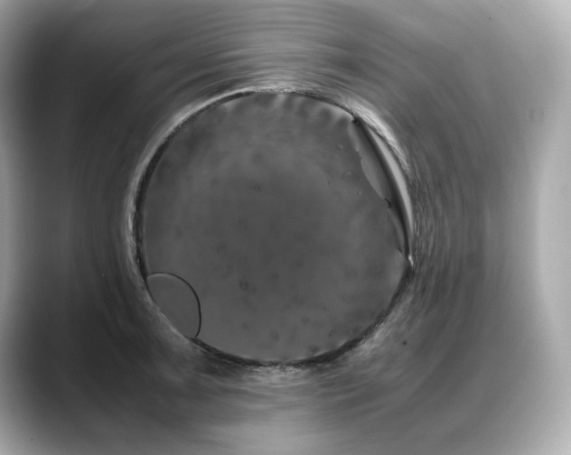 X0000088701091200705311210