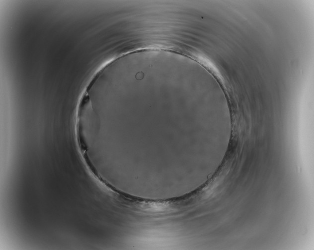 X0000088701095200705311210