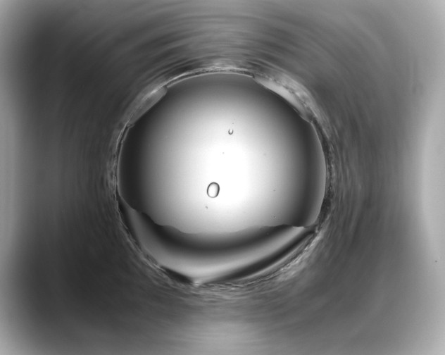 X0000088701097200705311210