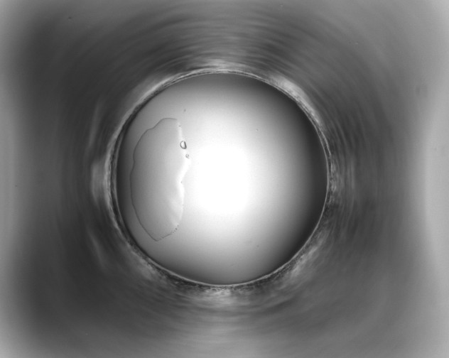 X0000088701098200705311210