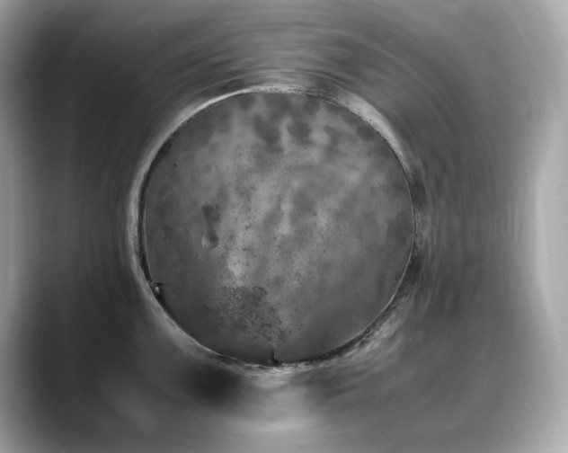 X0000088701099200705311210