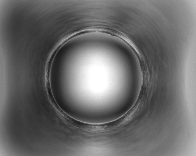 X0000088701101200705311210