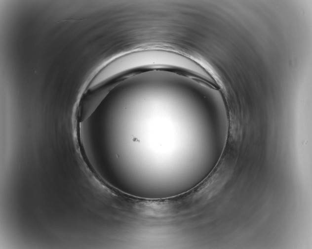 X0000088701102200705311210
