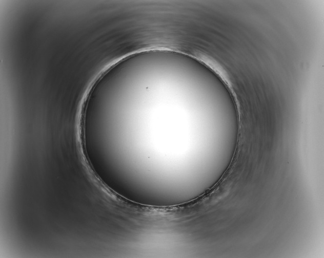 X0000088701104200705311210