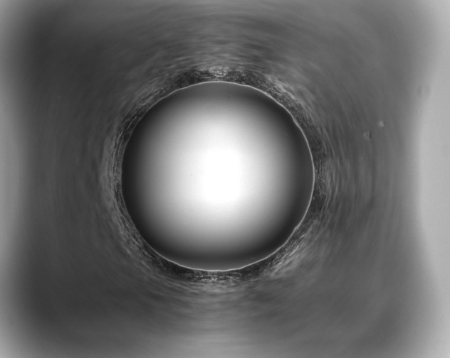 X0000088701105200705311209