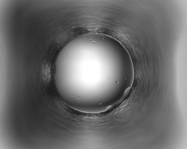 X0000088701106200705311210
