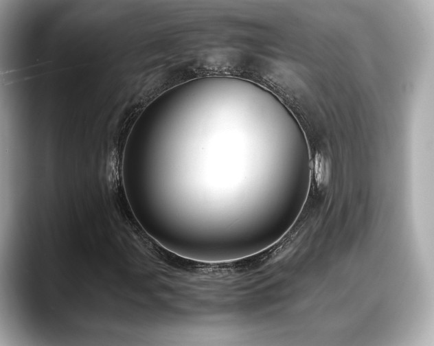 X0000088701107200705311210