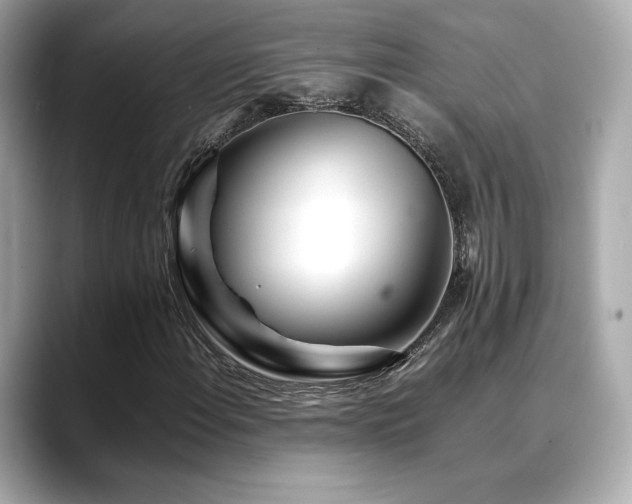 X0000088701108200705311210