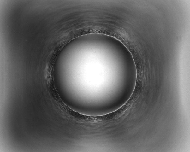X0000088701109200705311210