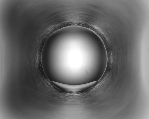 X0000088701110200705311210