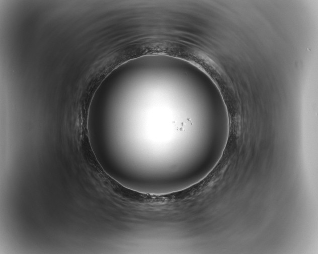 X0000088701111200705311210