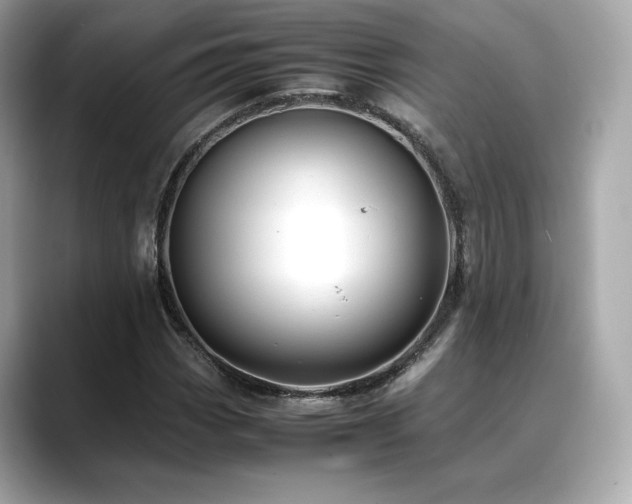 X0000088701113200705311210