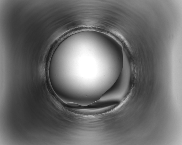 X0000088701114200705311210