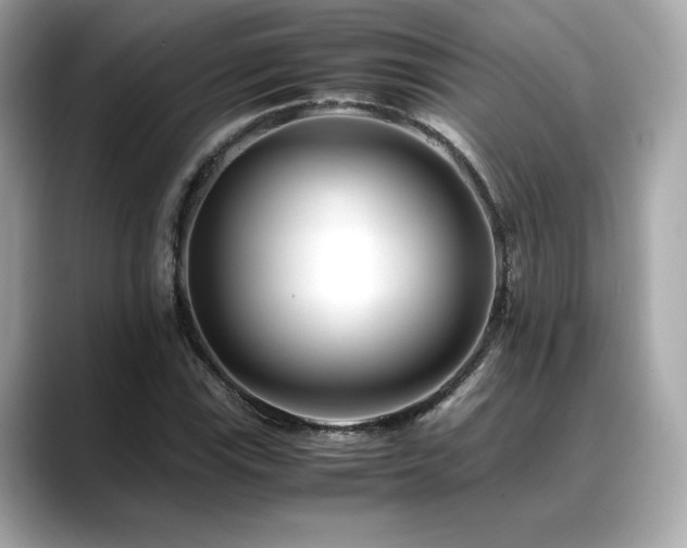 X0000088701115200705311210