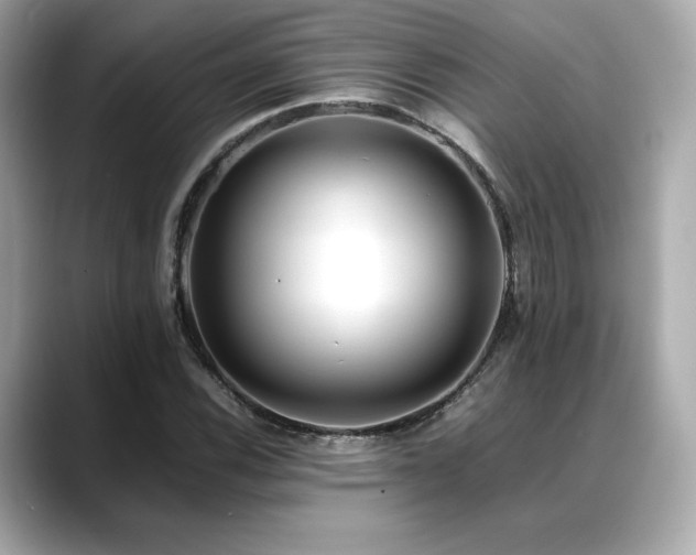 X0000088701116200705311210