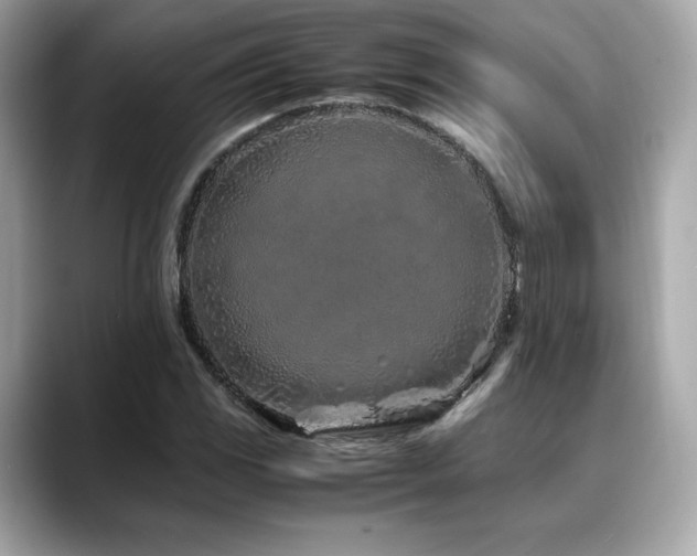 X0000088701117200705311210