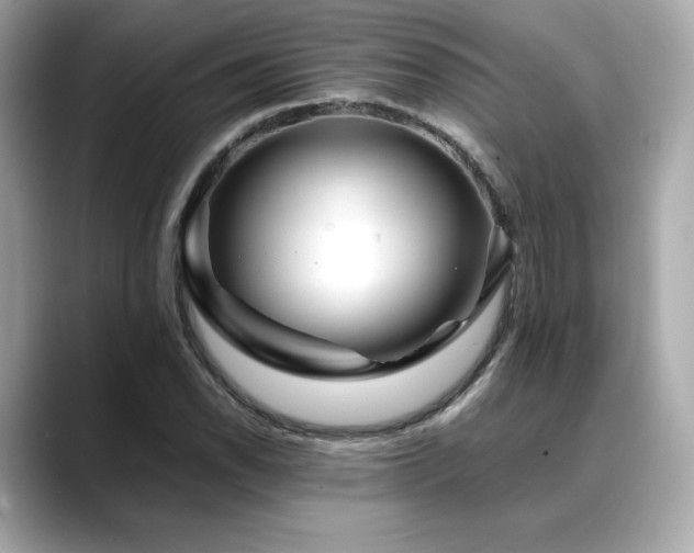 X0000088701118200705311210