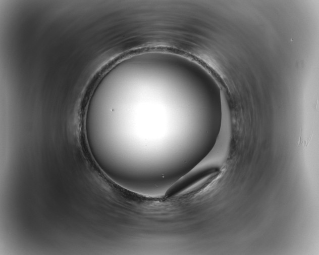 X0000088701119200705311210