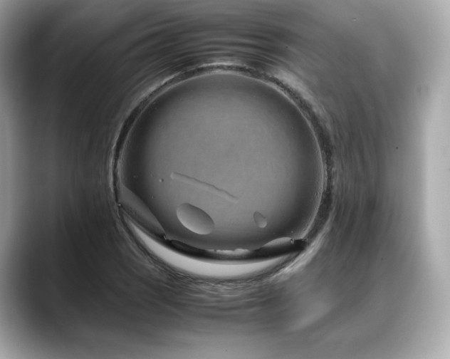 X0000088701121200705311210