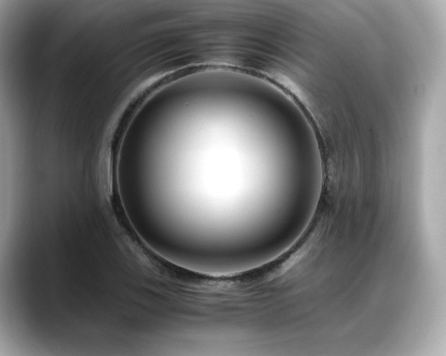 X0000088701123200705311210