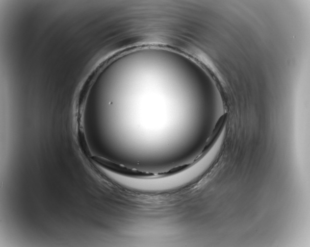 X0000088701124200705311210