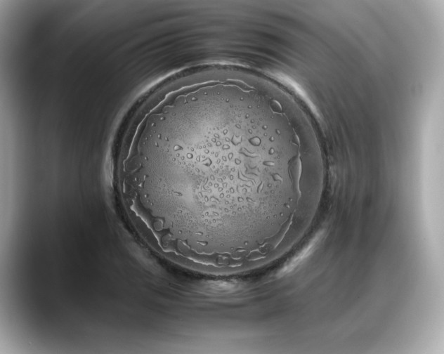 X0000088701125200705311210