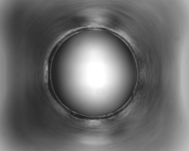 X0000088701126200705311210