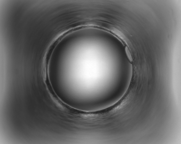 X0000088701127200705311210