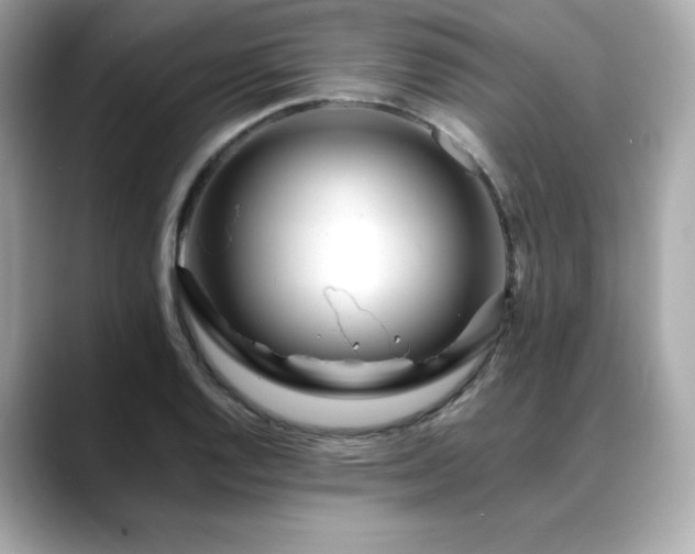 X0000088701128200705311210