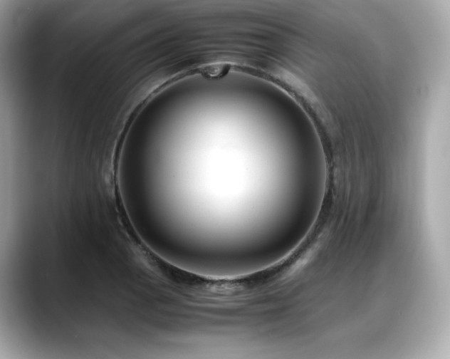 X0000088701129200705311210