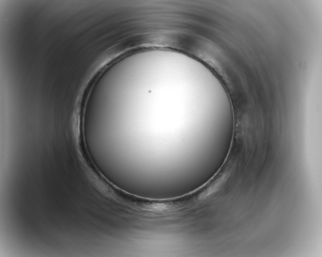 X0000088701130200705311210