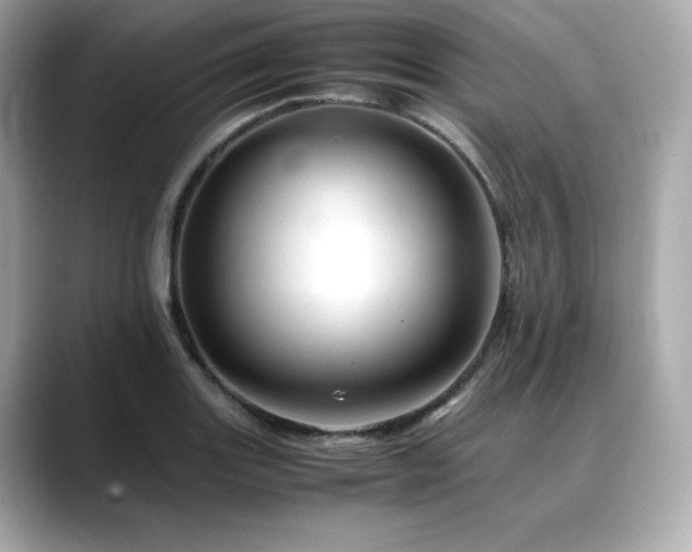 X0000088701131200705311210