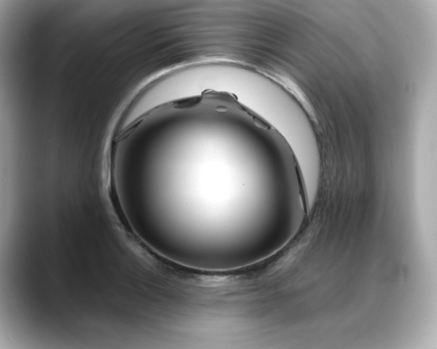 X0000088701132200705311210