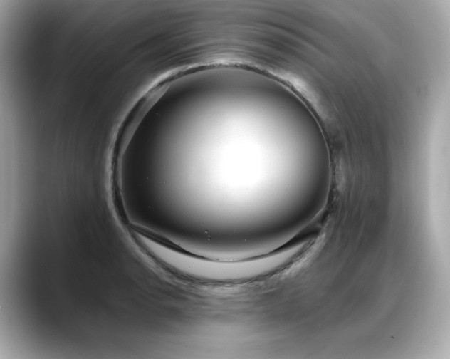 X0000088701134200705311210