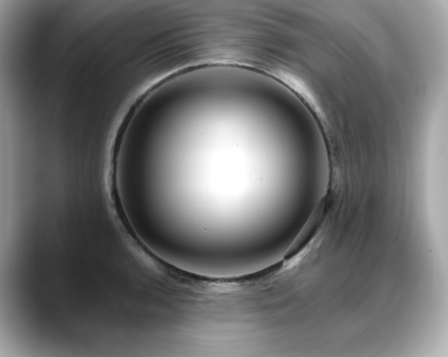 X0000088701136200705311210