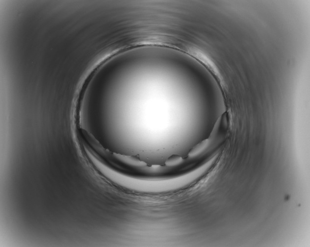 X0000088701138200705311210