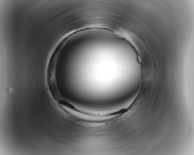 X0000088701140200705311210