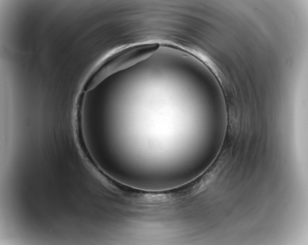 X0000088701142200705311210