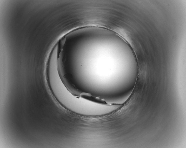 X0000088701144200705311210