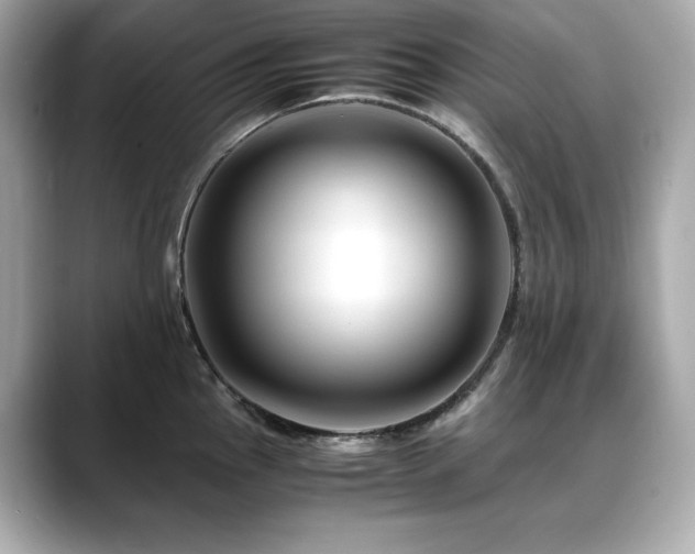 X0000088701145200705311210