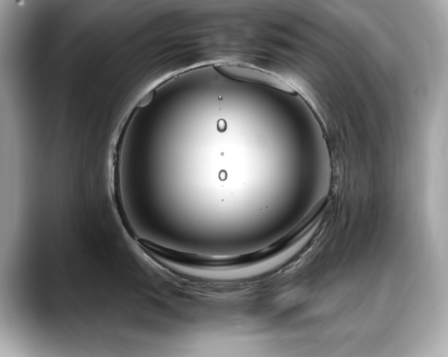 X0000088701151200705311210