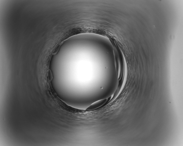 X0000088701153200705311209